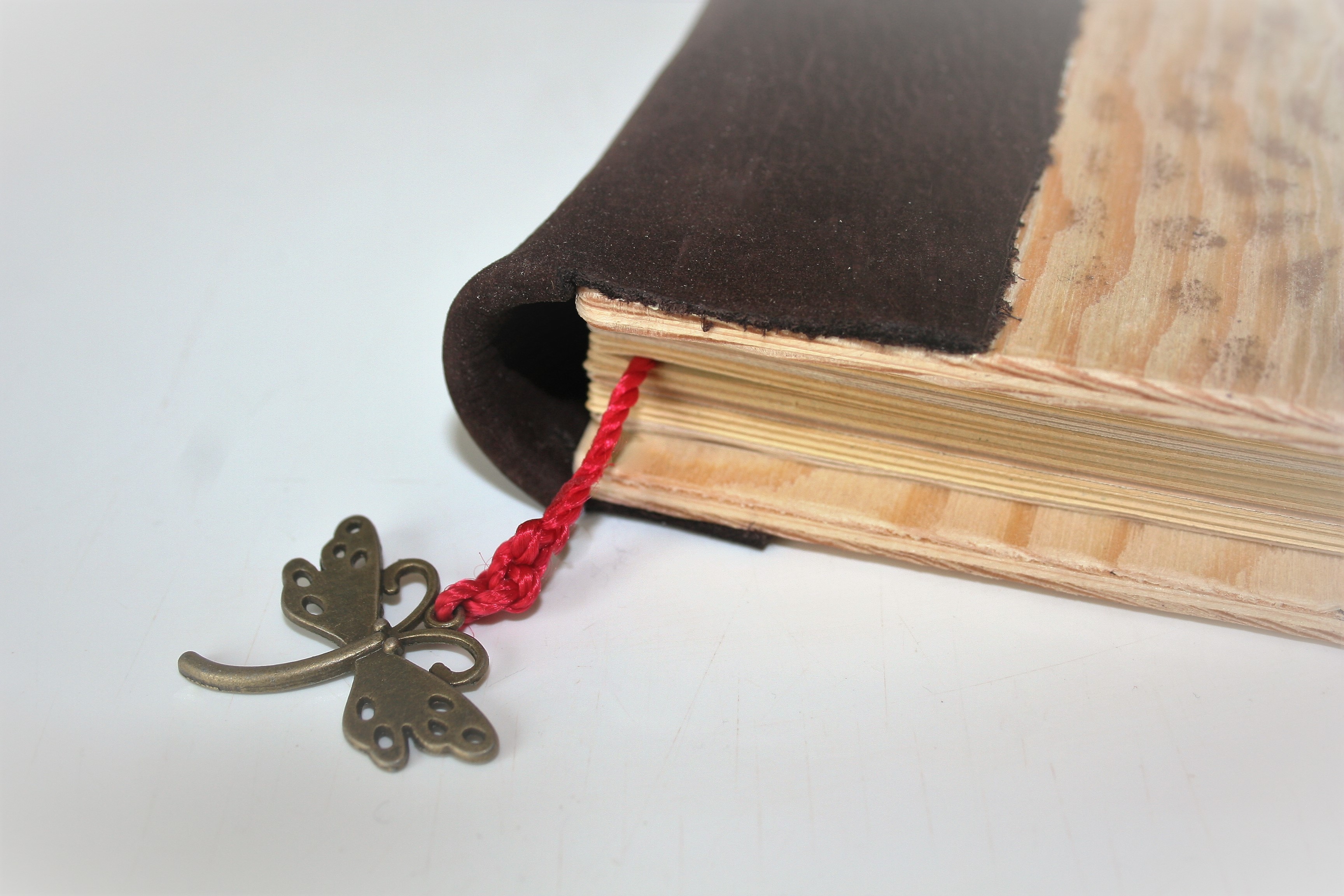 Kniha života - nepopsaná kniha detail záložky, vážka na červeném provázku